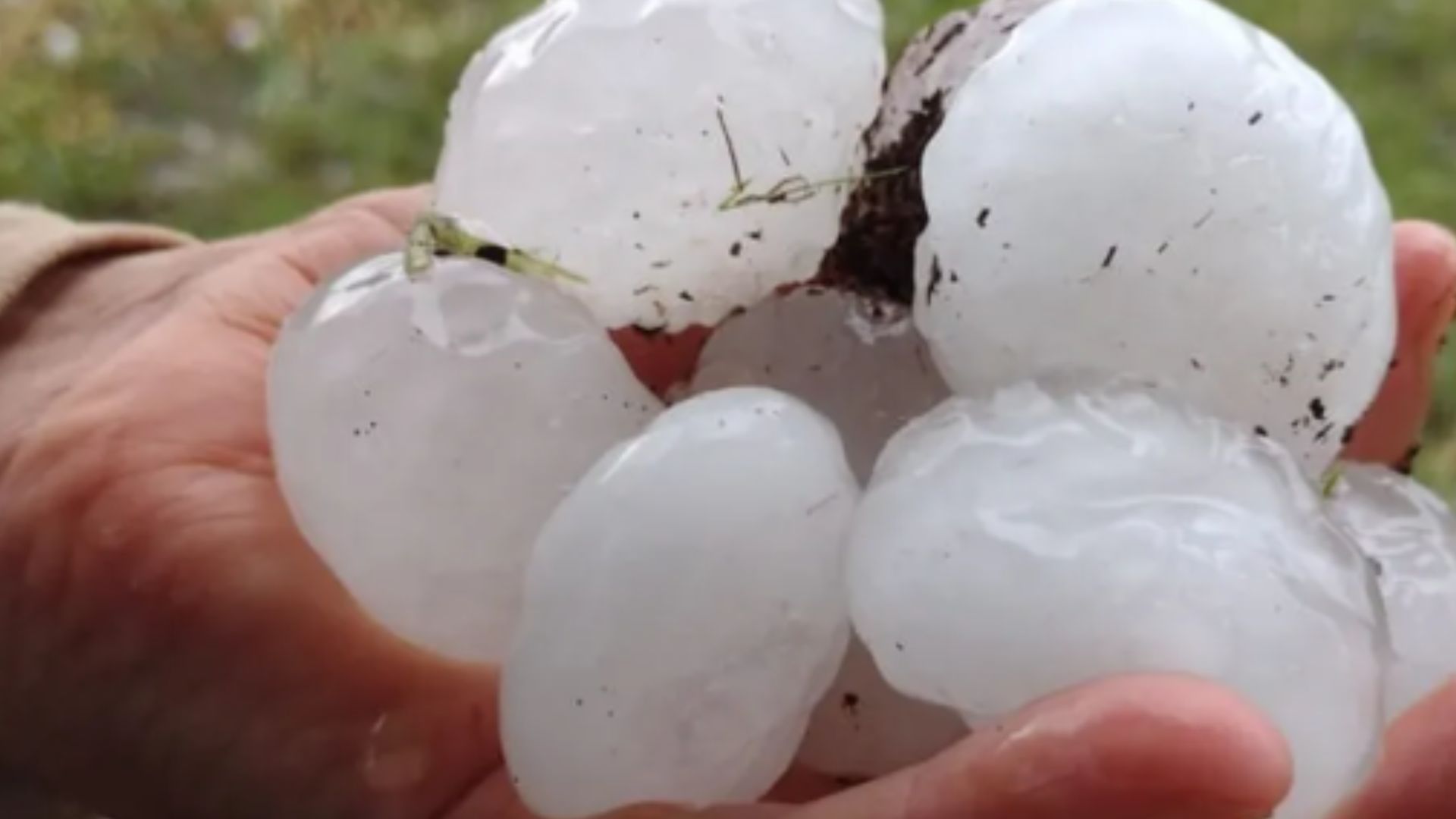 Como reverter negativa de cobertura de seguro por chuva de granizo - Martinhago Advocacia | Advogados Especialistas em Defesa dos Seus Direitos